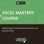 Premium Excel Mastery Course (Only For P